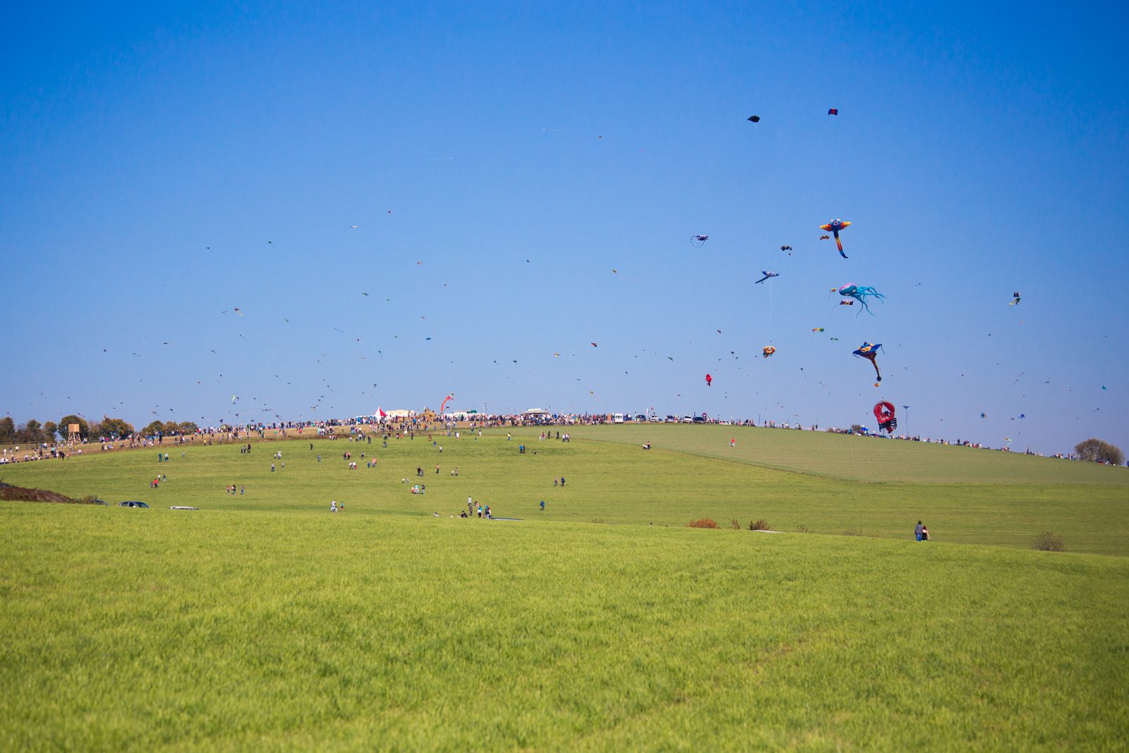Internationales Drachenfest 2017