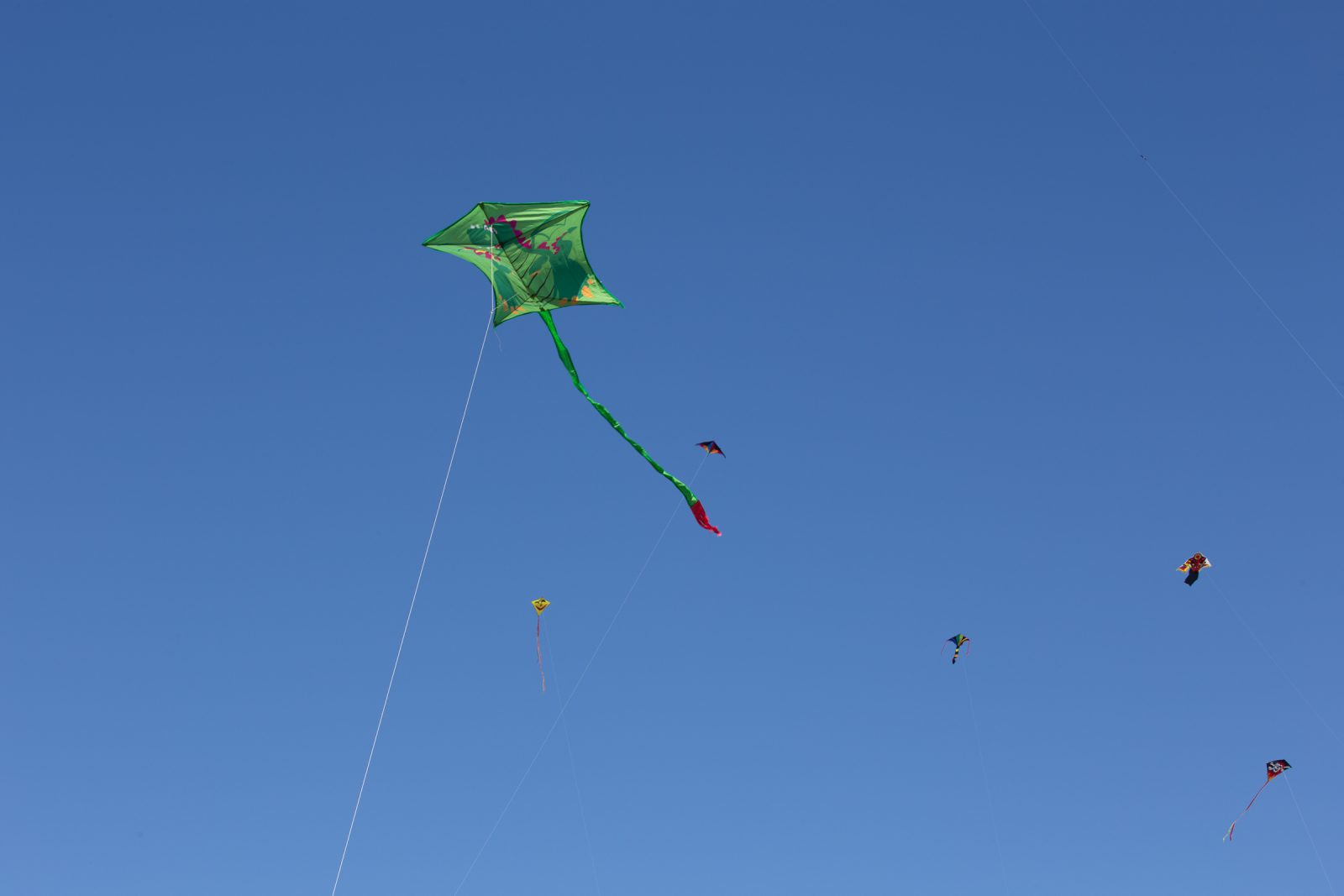 Internationales Drachenfest 2017