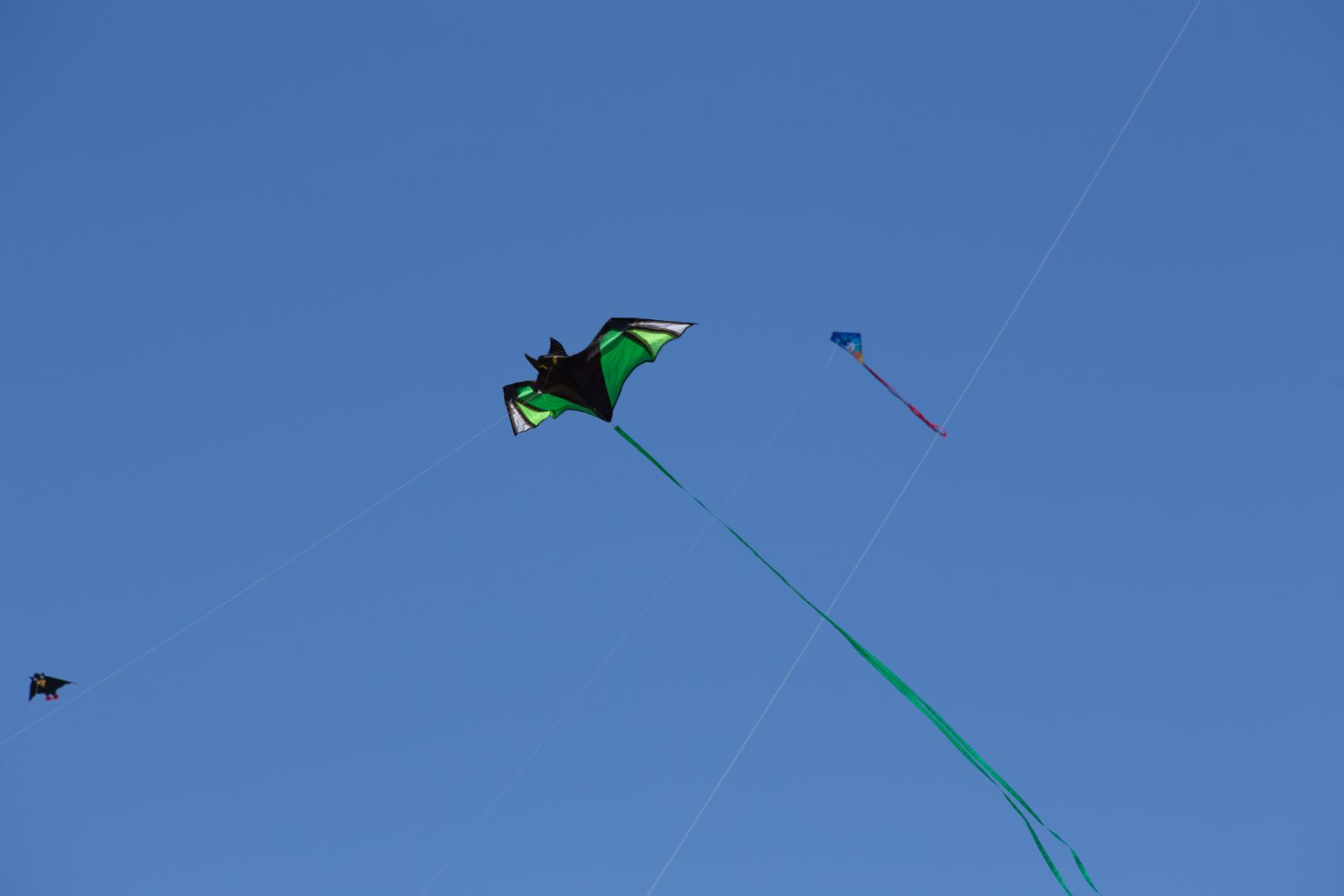 Internationales Drachenfest 2017