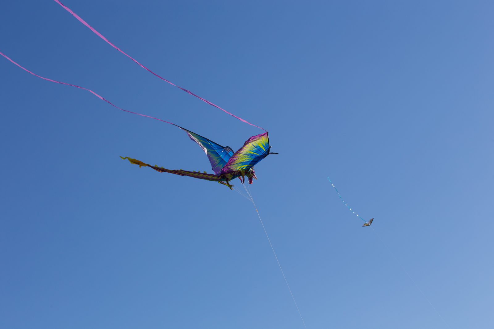 Internationales Drachenfest 2017