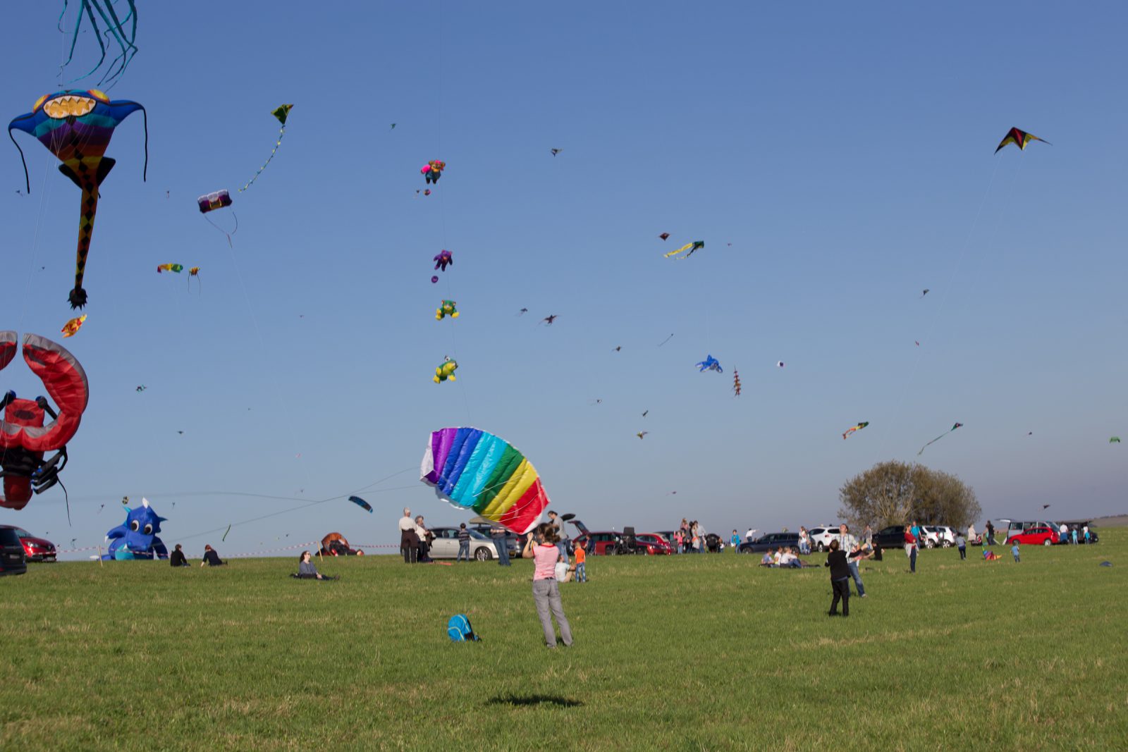 Internationales Drachenfest 2017