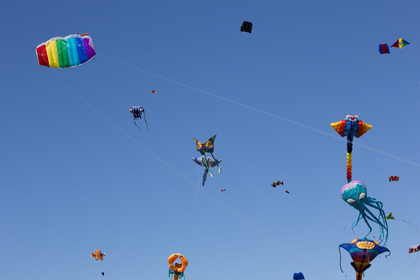 Internationales Drachenfest 2017