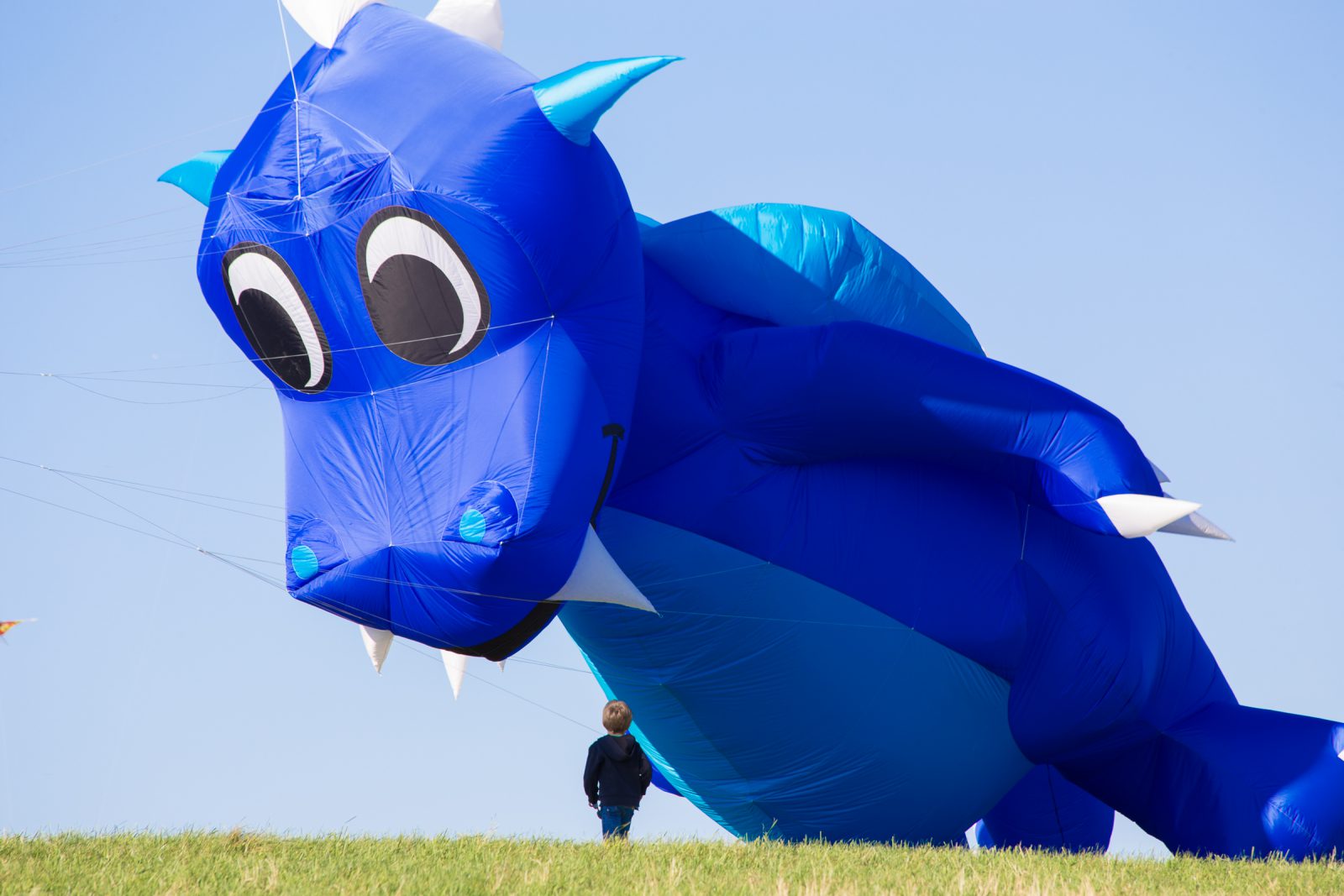 Internationales Drachenfest 2017