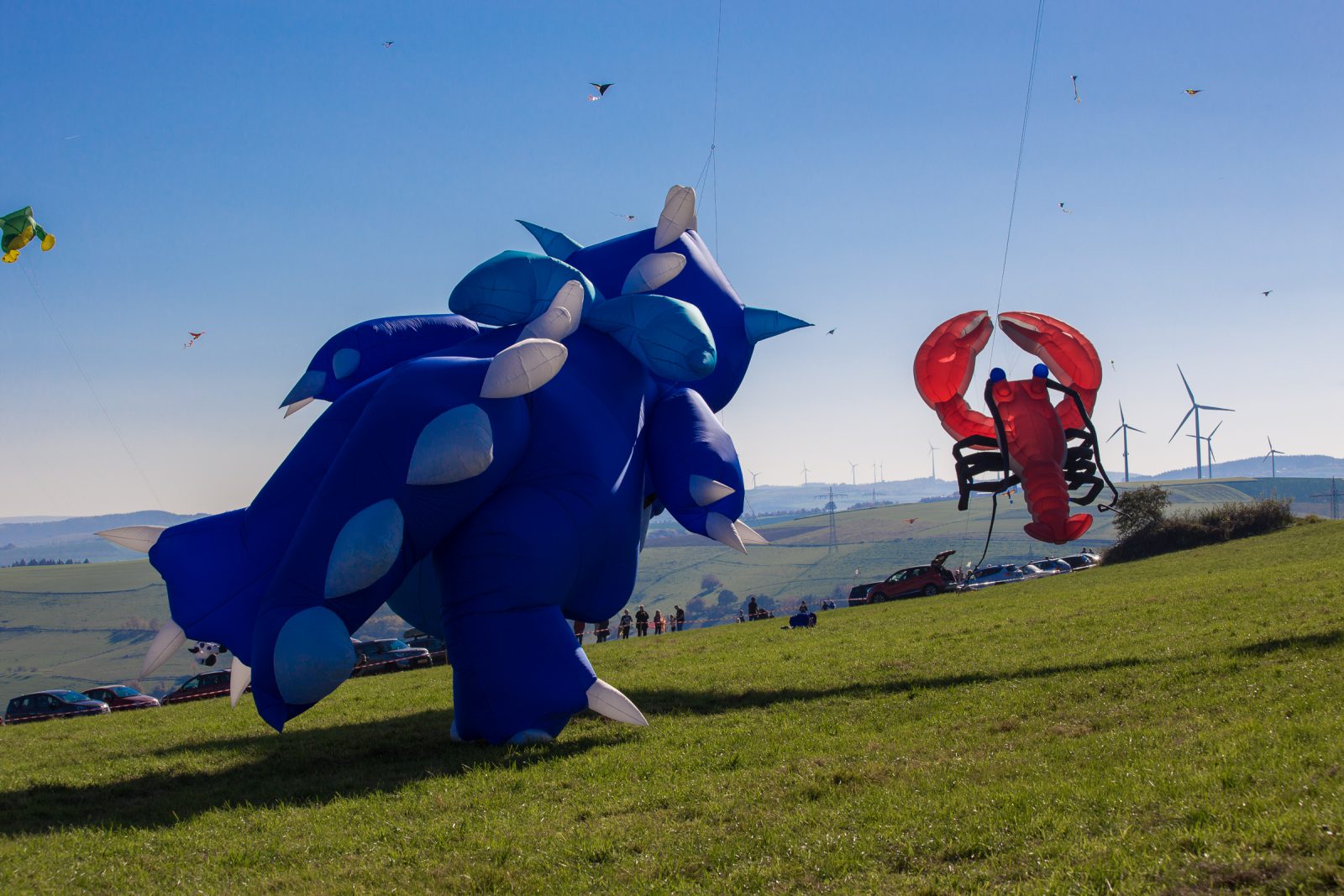 Internationales Drachenfest 2017