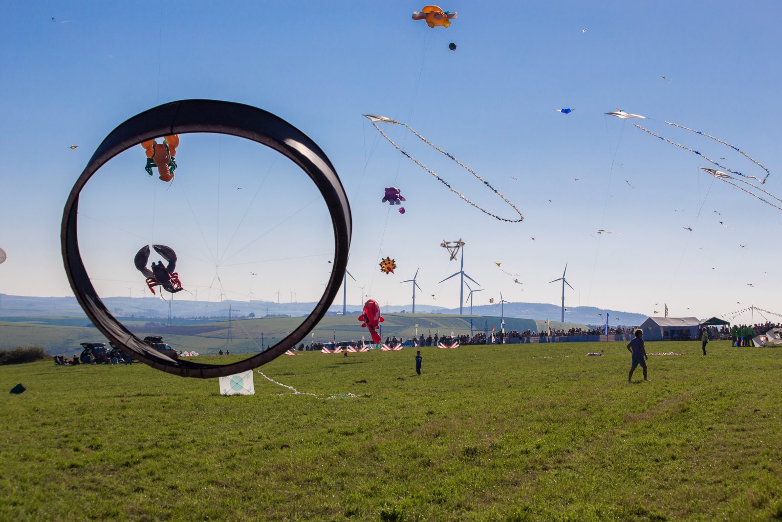 Internationales Drachenfest 2017