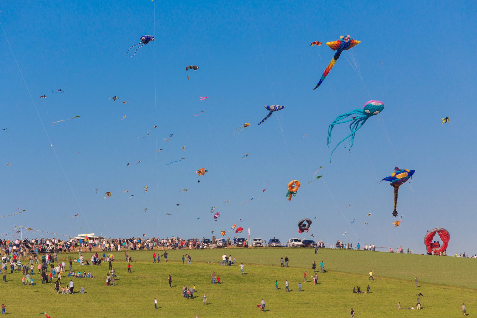 Internationales Drachenfest 2017