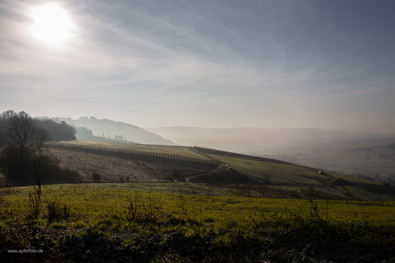 Landschaft bei Konz im Nebel
