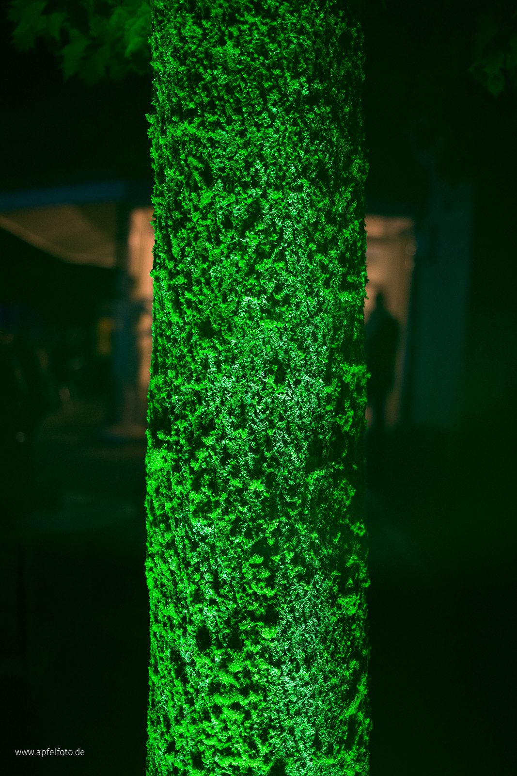 Illuminale 2013