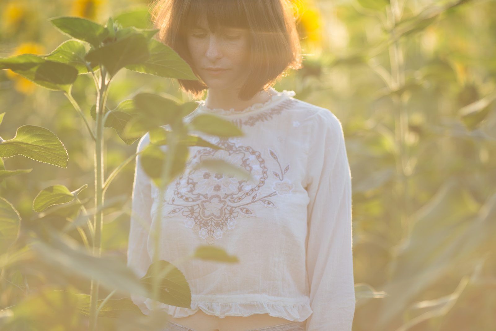 Dafna und Sonneblumen