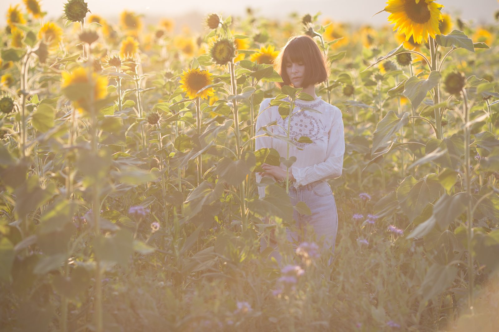 Dafna und Sonneblumen