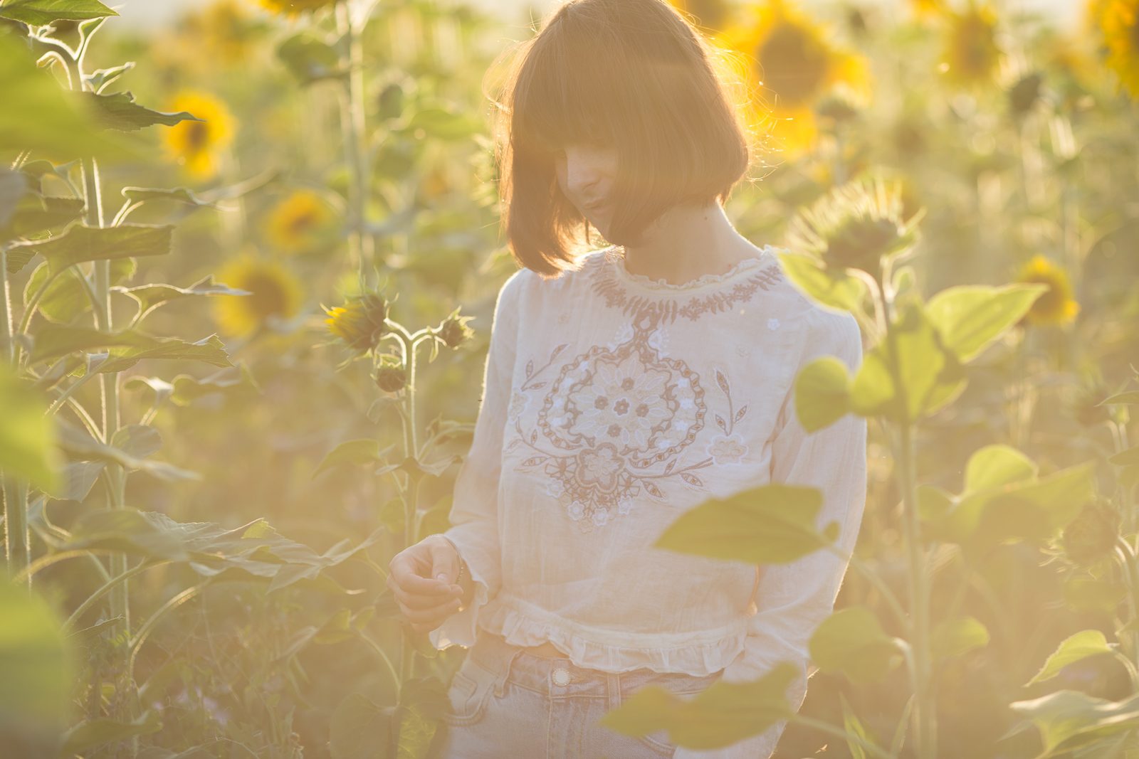 Dafna und Sonneblumen