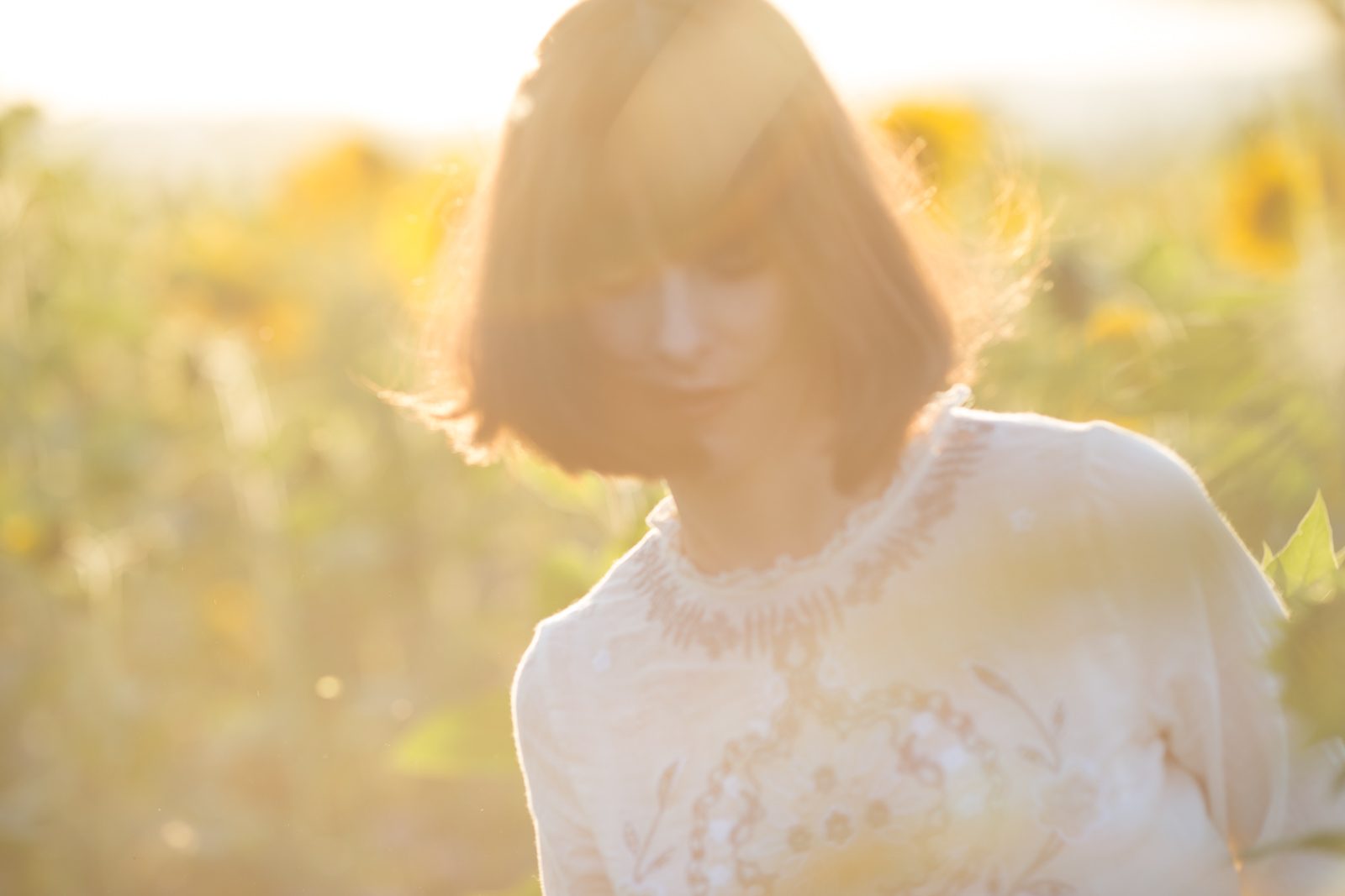 Dafna und Sonneblumen