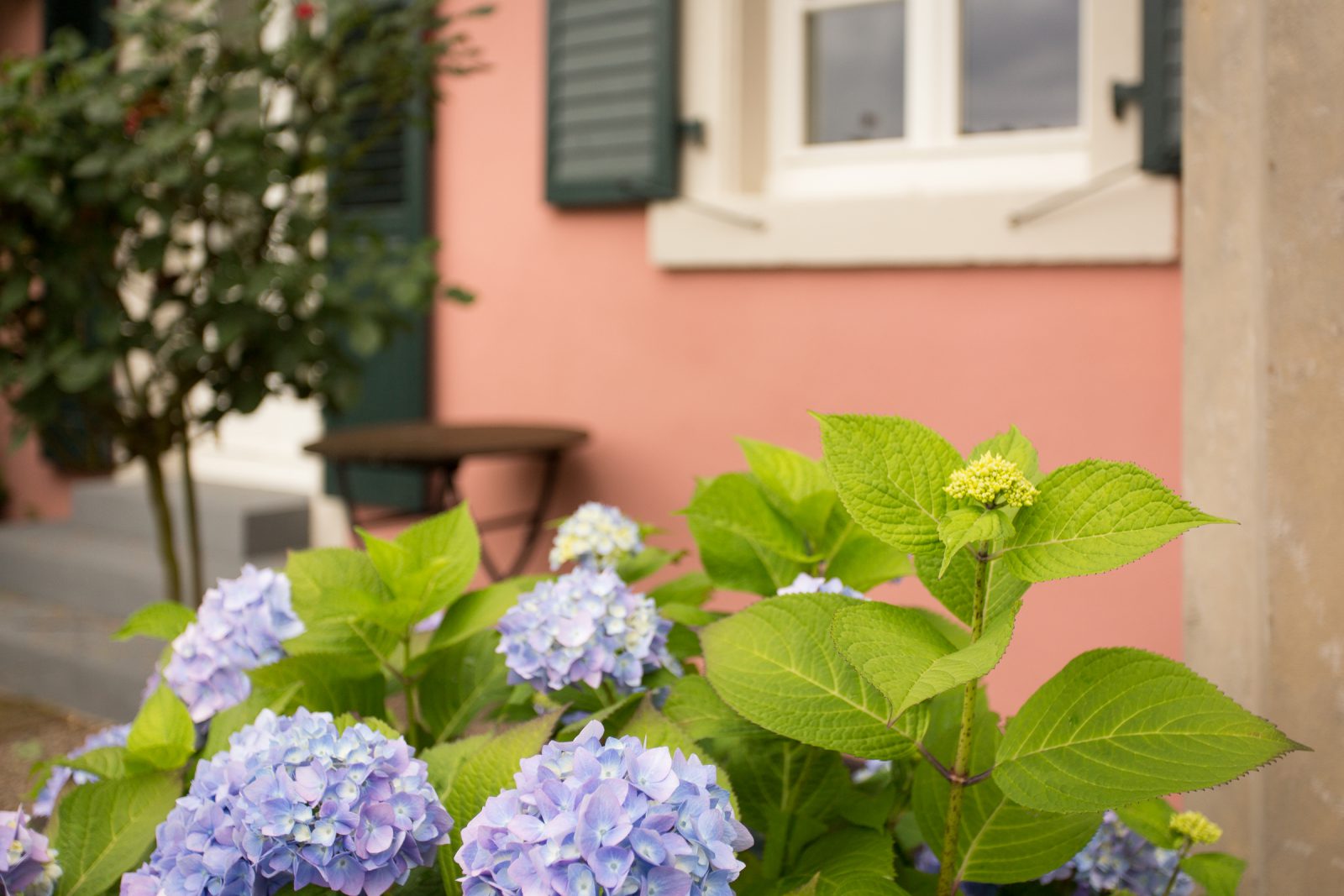 Imagebild Weingut und Gästehaus Reverchon